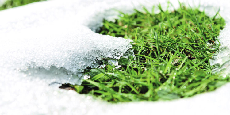 Gazon, le laisser en paix !