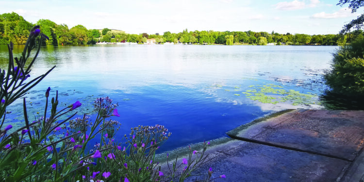 Metz capitalise sur son patrimoine aquatique