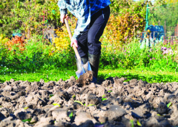 Il y a encore à faire au jardin
