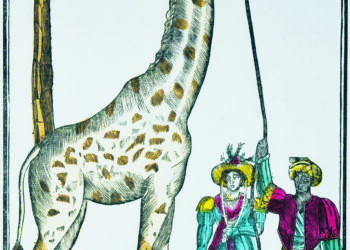« Peigner la girafe »