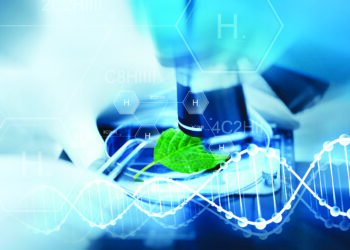 Jouer les premiers rôles