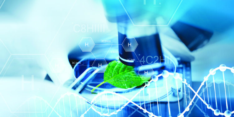 Jouer les premiers rôles