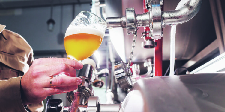 Les brasseries artisanales ont la mousse en poupe