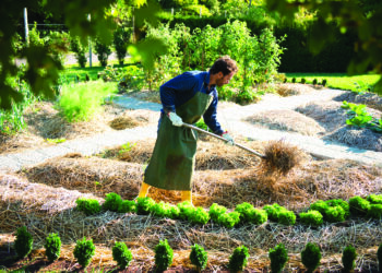 Cultiver dans le respect de la biodiversité et des hommes