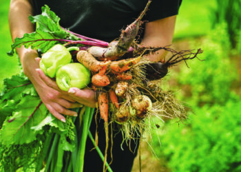 Les différents types d’agriculture