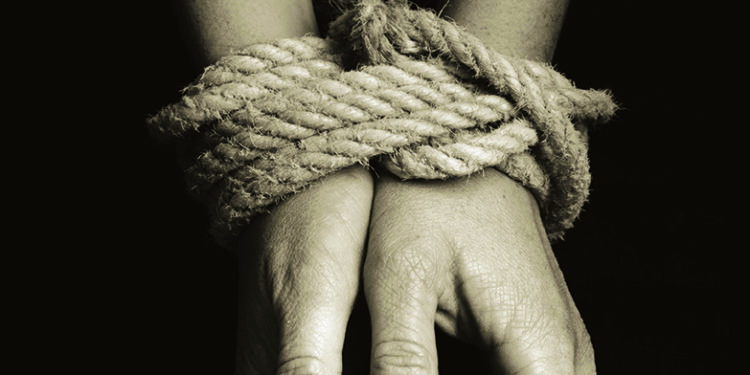 Un mécanisme de survie