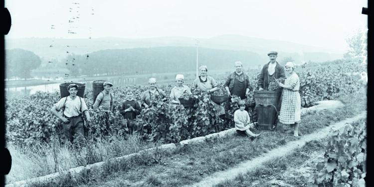 Et on boira du vin de Moselle