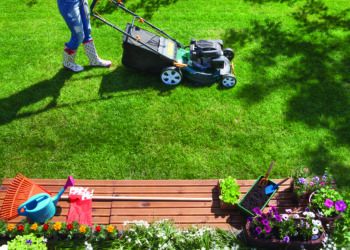 Pour une belle pelouse cet été