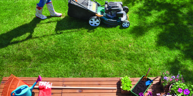 Pour une belle pelouse cet été