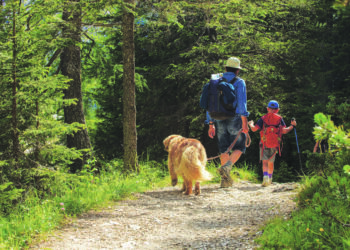 L’appli qui vous fera aimer la randonnée