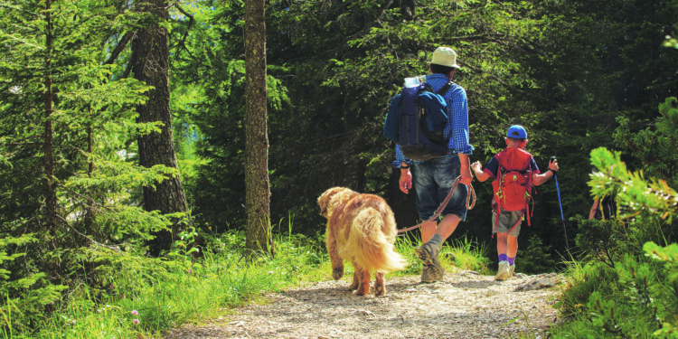 L’appli qui vous fera aimer la randonnée