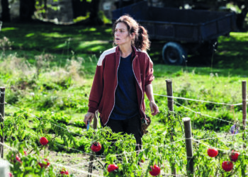 Petits problèmes de voisinage