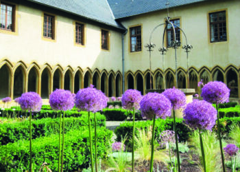 Jardins étranges et plantes merveilleuses