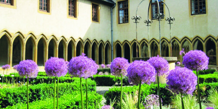 Jardins étranges et plantes merveilleuses