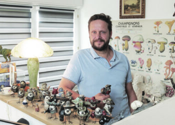 Le fabuleux destin du Spatz lorrain