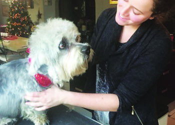 Tout le monde est plus relax