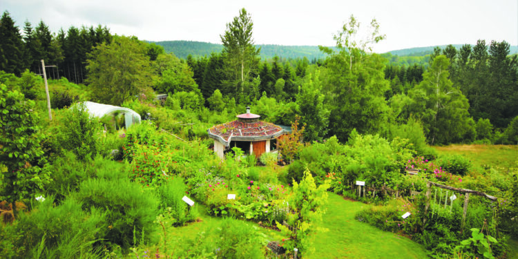 Nous accueillons de nombreux particuliers qui portent un projet de retour à la terre
