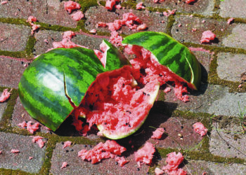 L’impact environnemental du gaspillage alimentaire est énorme