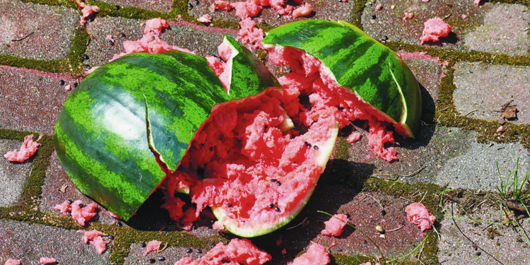 L’impact environnemental du gaspillage alimentaire est énorme