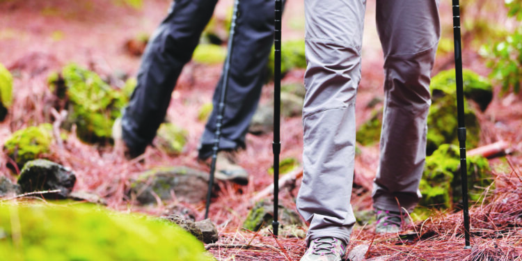 3 idées de randonnées en Moselle