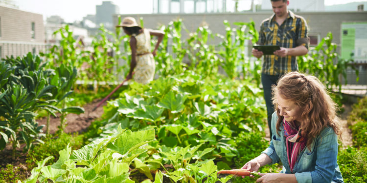 L’Eurométropole de Metz affiche ses ambitions