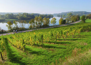 À la découverte des vignerons mosellans