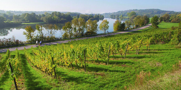 À la découverte des vignerons mosellans