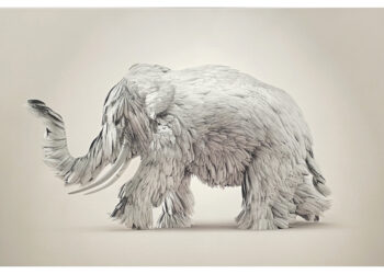 À l’Arsenal de Metz : fable animalière hybridée