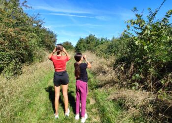 « Récolter ce que l’on sème »