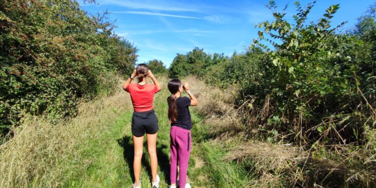 « Récolter ce que l’on sème »