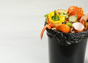 SUEZ investit dans le pré-traitement des biodéchets à Fameck