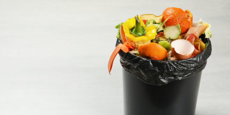 SUEZ investit dans le pré-traitement des biodéchets à Fameck