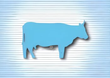 Abattoir du Nord Mosellan : le couperet est tombé