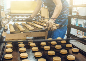 Grand Est : une évolution positive de l’artisanat en 2022