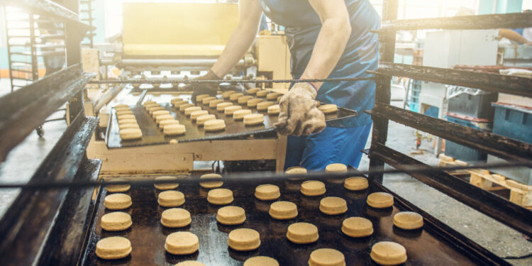 Grand Est : une évolution positive de l’artisanat en 2022