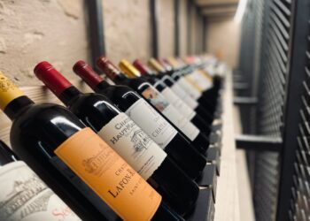 Raisin Cave à Vins : l’invitation au voyage des sens