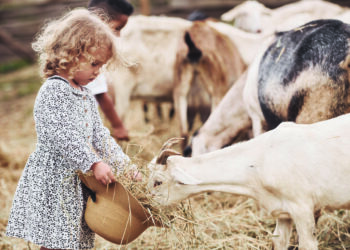 Célébrer la ruralité