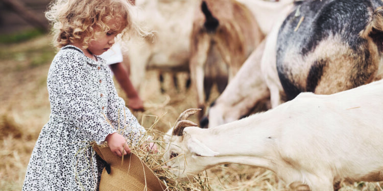 Célébrer la ruralité