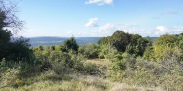 Le Mont Saint-Quentin, site protégé depuis 30 ans