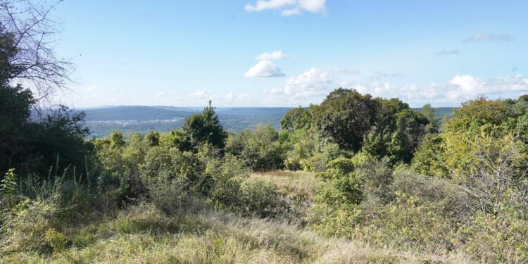 Le Mont Saint-Quentin, site protégé depuis 30 ans