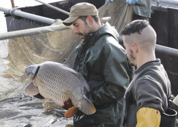 Au Domaine de Lindre : la Fête de la Grande Pêche !