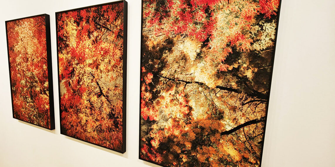 exposition Patrick Kuhn Arsenal Metz accrochage photographies