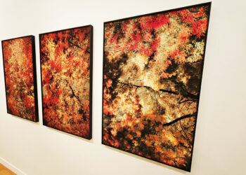 exposition Patrick Kuhn Arsenal Metz accrochage photographies