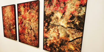 exposition Patrick Kuhn Arsenal Metz accrochage photographies