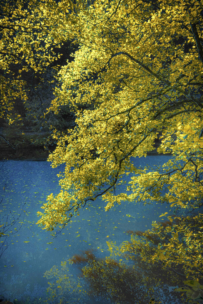 photographie couleur jaune paysage Patrick Kuhn exposition Metz